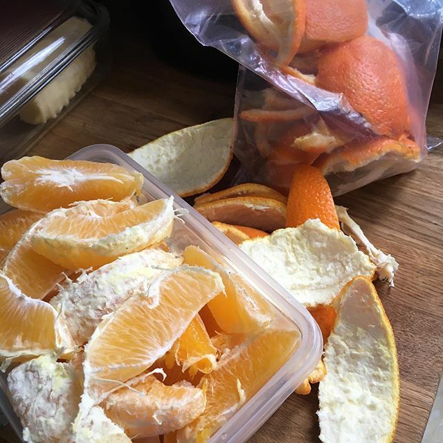 Walpolegirl's tweet image. I hate peeling oranges so I peeled four and they will be snacks today.
🍊
The peels will go to the allotment to be used as a natural slug deterrent!
🍊
#oranges #naturalsnacks #vitaminC #pin #tweet ift.tt/32ZBlSh