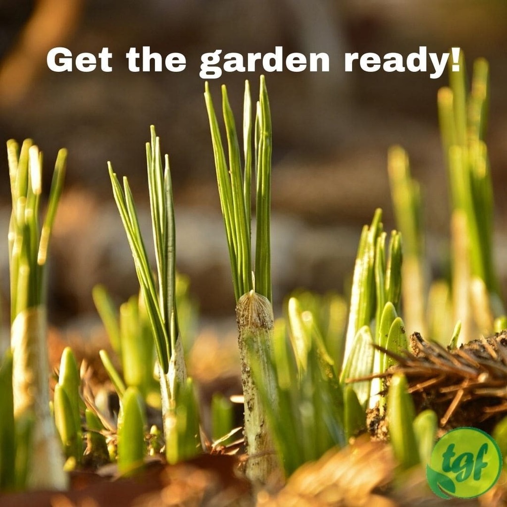 GardeningNE's tweet photo. #RT @gardenerfriends: (Tumblr https://t.co/Lg608osFeF) Get the garden ready for spring! ⁠
⁠
#gardening #garden #gardeningtip #nature #almostspring #thegardenersfriends #greenthumb #green #like #gardenlife #lifestyle #excitedforspring https://t.co/vxcOF8OGzj