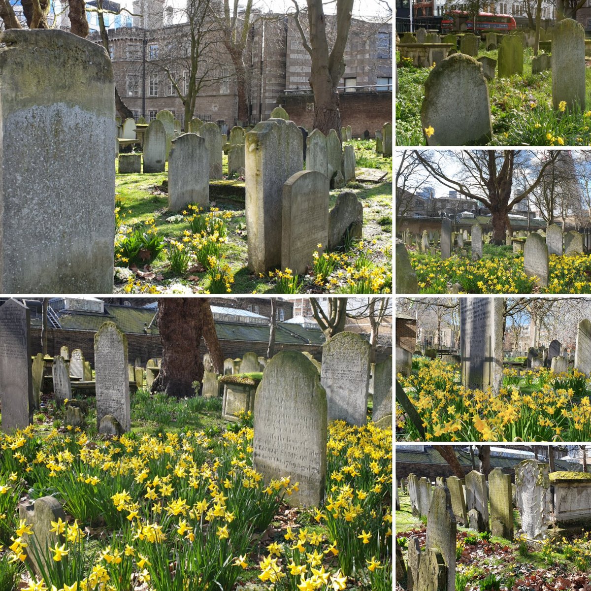 Beth Pipe tweet media