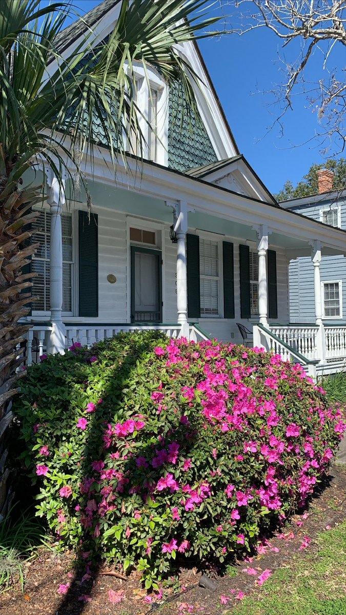 Visit Beaufort, SC tweet media