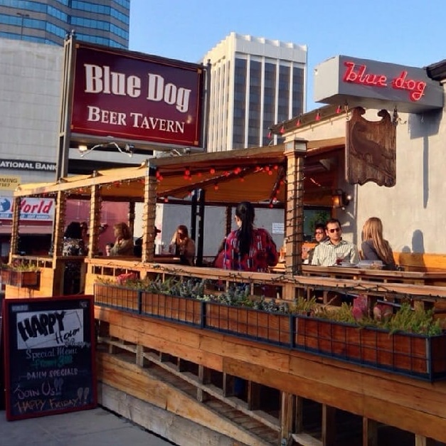 Blue Dog Beer Tavern tweet media