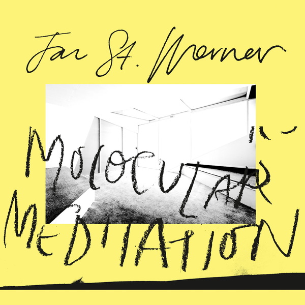 Album of the Week. #janstwerner #molocularmeditation #markesmith #thefall