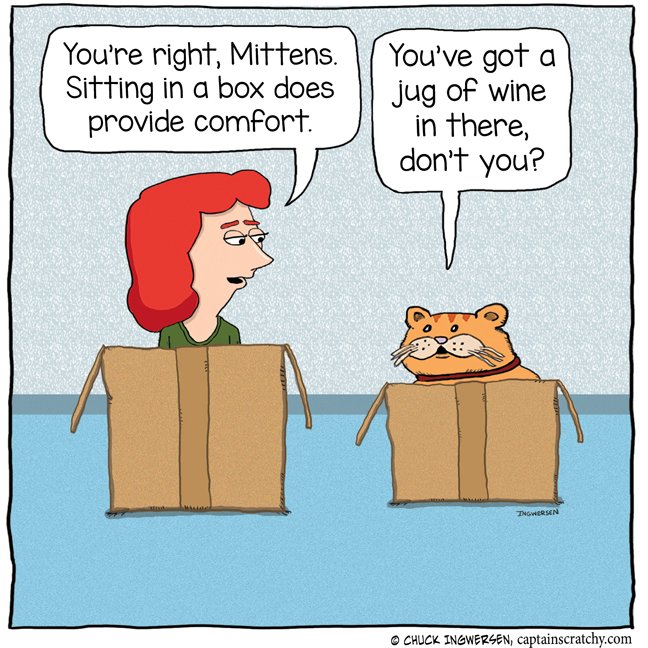 Looks like someone's having a good #Caturday