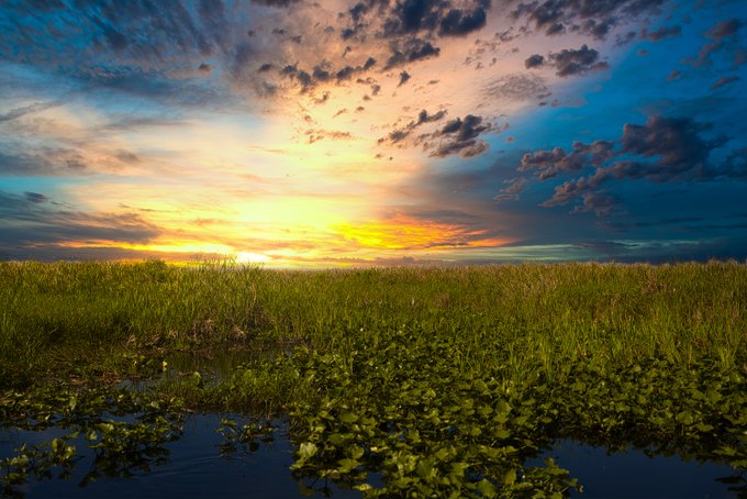 Florida gets a bad rep because of dumb people.  It's not all bad... https://t.co/xxfTdWe4ft