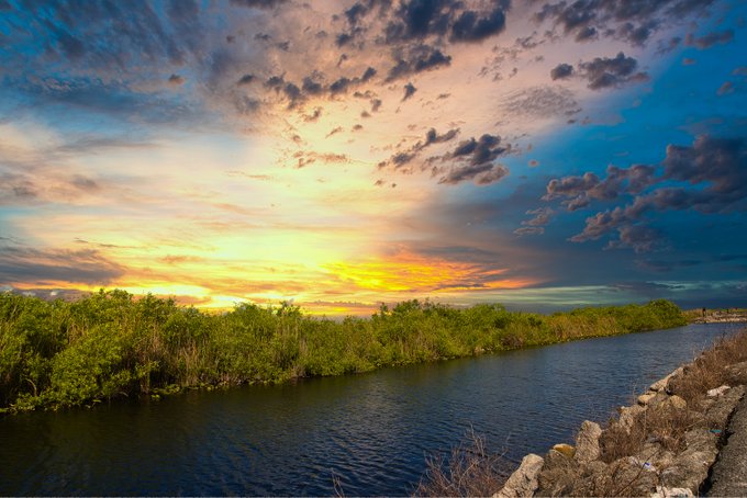 Florida gets a bad rep because of dumb people.  It's not all bad... https://t.co/xxfTdWe4ft