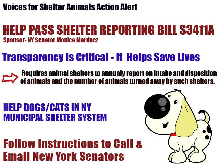 New Yorkers  - URGENT ACTION ALERT - HELP PASS NY SHELTER REPORTING LEGISLATION  -S ENATE BILL S3411A 
MONICA MARTINEZ  -SPONSOR

FIND YOUR SENATOR
nysenate.gov/find-my-senator

#NoKillNY #NoKillNation #AdoptDontShop