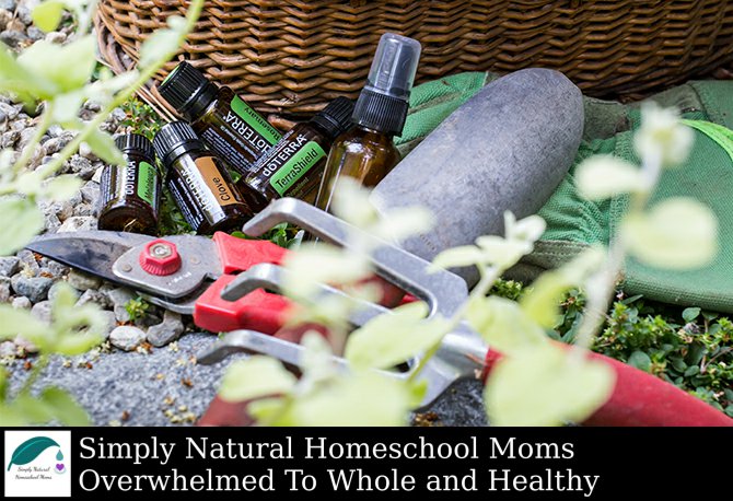 RysaHulsey's tweet photo. Essential oil #gardening tips: https://t.co/LoxEVELaiy https://t.co/mubN9nlN1w