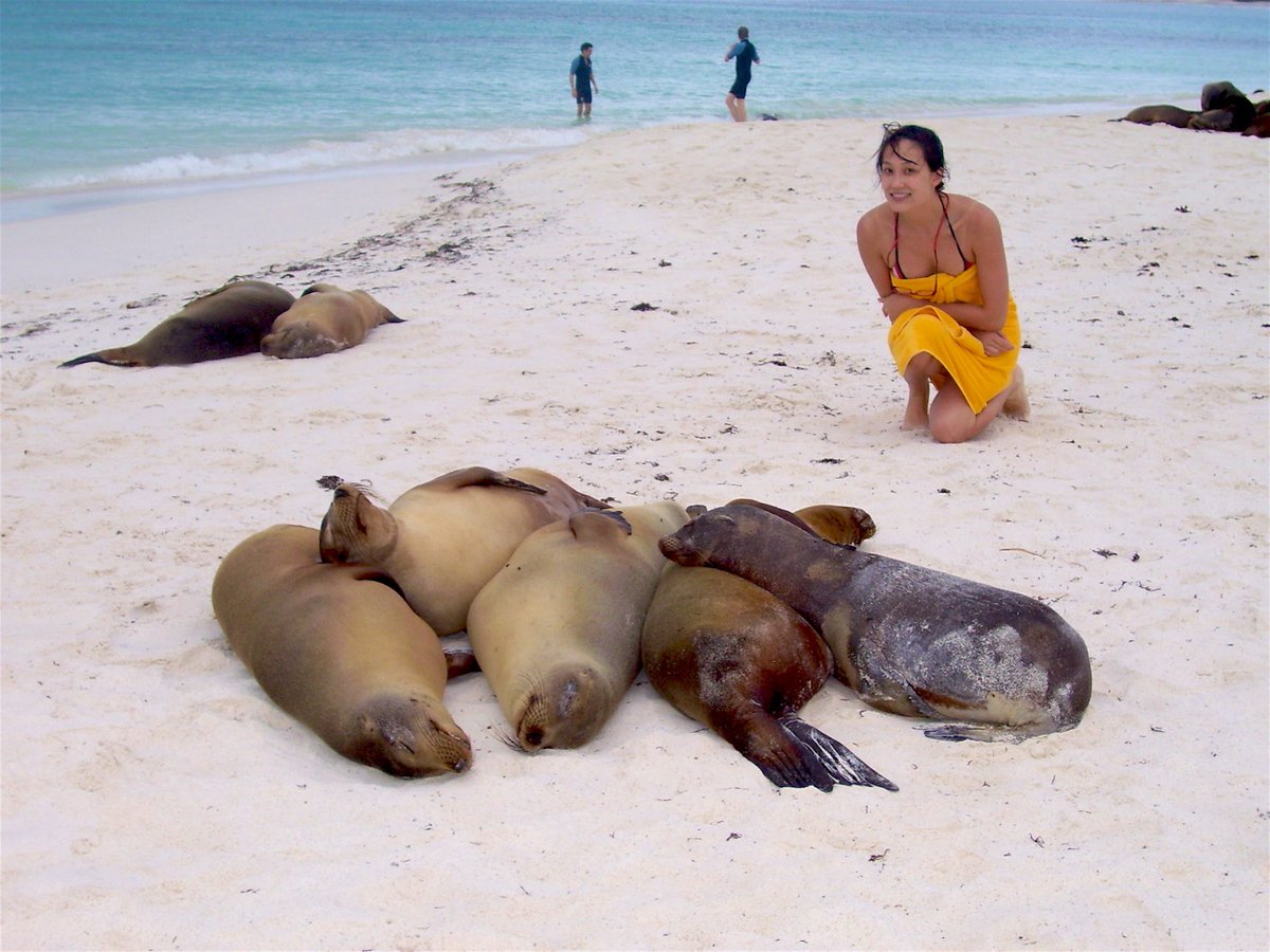 lonelyplanet's tweet photo. The trip that changed my life: The Galapagos Islands - https://t.co/chZ7GFTbor https://t.co/Qk9cfWylWT
