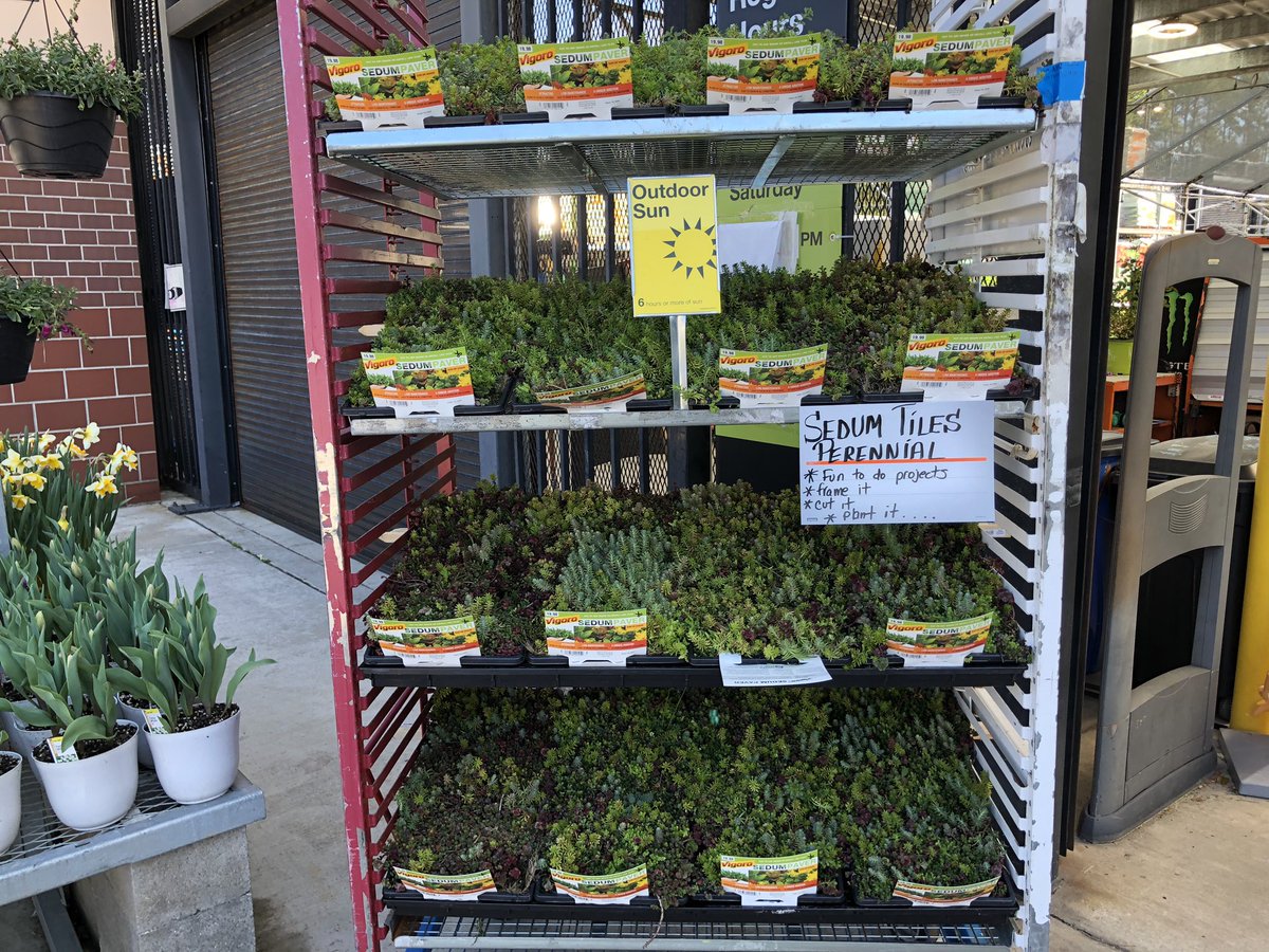 Karen Codair (@ppskare) on Twitter photo Springing Ahead and Time moving forward but, Another hour of 🌞to spend in the gardens 👏⏱❤️🌸Ready, Set, Grow says THD 3609 Wilm NC <a href="/RichRiceTHD/">Rich Rice</a> <a href="/scottburtonthd/">Scott Burton</a> <a href="/JimSimmonsHD/">Jim Simmons</a> @PPSinHD @<a href="/Stephen_E_Camp/">Stephen Camp</a> <a href="/pps_s_atlantic/">AC</a> Springing Ahead and Time moving forward but, Another hour of 🌞to spend in the gardens 👏⏱❤️🌸Ready, Set, Grow says THD 3609 Wilm NC <a href="/RichRiceTHD/">Rich Rice</a> <a href="/scottburtonthd/">Scott Burton</a> <a href="/JimSimmonsHD/">Jim Simmons</a> @PPSinHD @<a href="/Stephen_E_Camp/">Stephen Camp</a> <a href="/pps_s_atlantic/">AC</a>