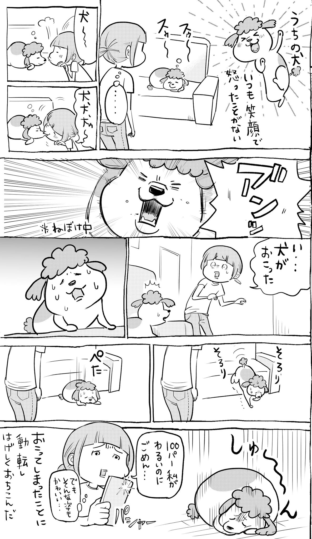 全然怒らない犬が怒った それを見た普段クールな猫も動揺を隠せない 話題の画像プラス