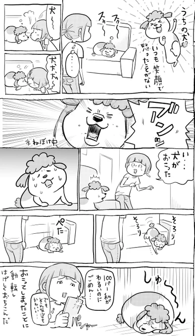 犬と猫どっちも飼ってると、おこらせちゃっても結局たのしい。 