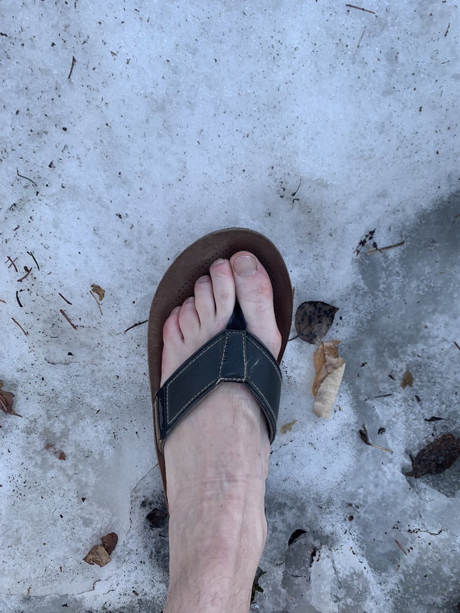 bwillie's tweet image. longing the days of summer! Flip-flops some snow a brew and walking the dog.  @gristbrewingco #springincolorado