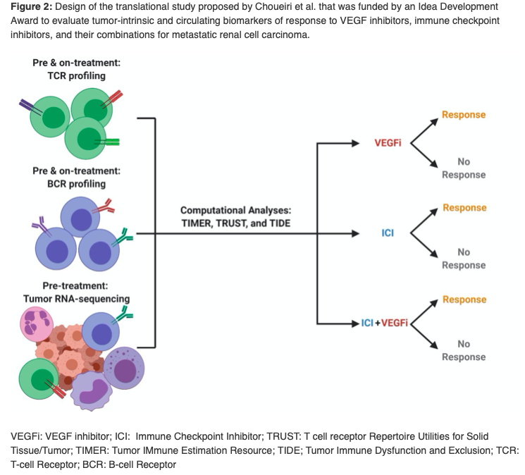 DrChoueiri's tweet photo. THANK YOU @CDMRP for highlighting #KidneyCancer research @DanaFarber with @XShirleyLiu &amp; @RoswellPark with @EbosLab looking at 2 approaches aimed at harnessing predictive markers of response to antiangiogenics in metastatic RCC https://t.co/qF98GeYEZm https://t.co/B2B3jY2LKv