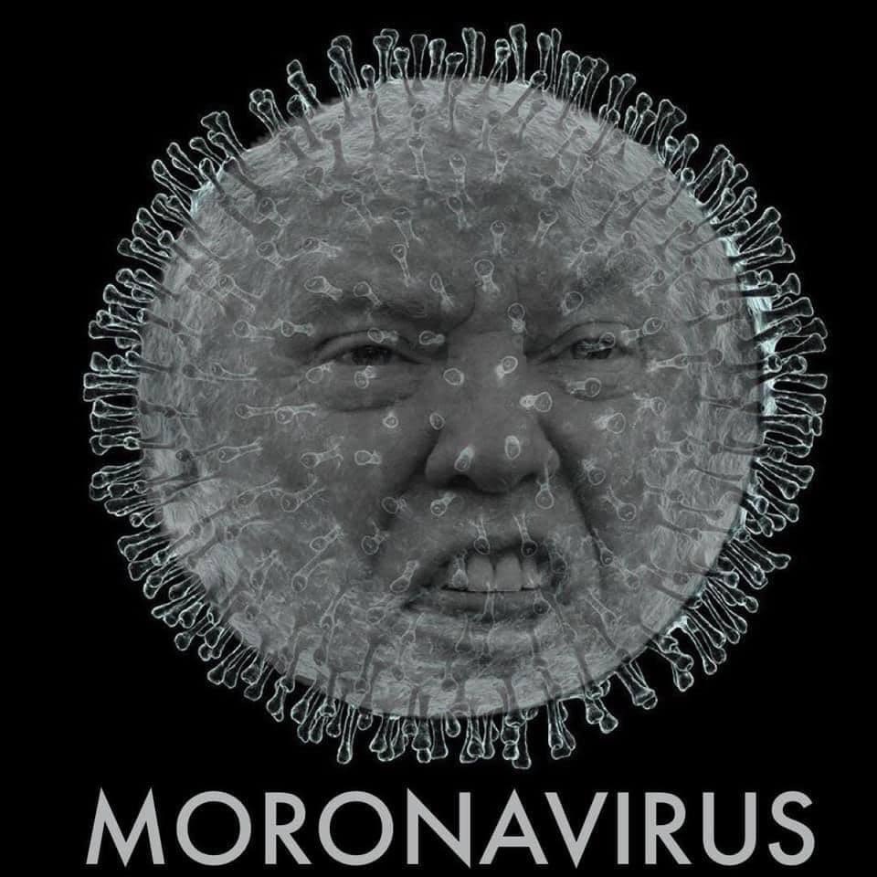 AntiCult45's tweet photo. #coronavirus more like #moronavirus https://t.co/oZ8cyI3v7P