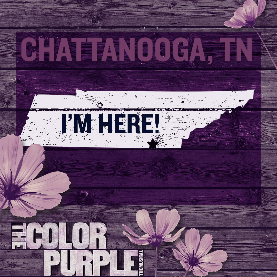 The Color Purple tweet media