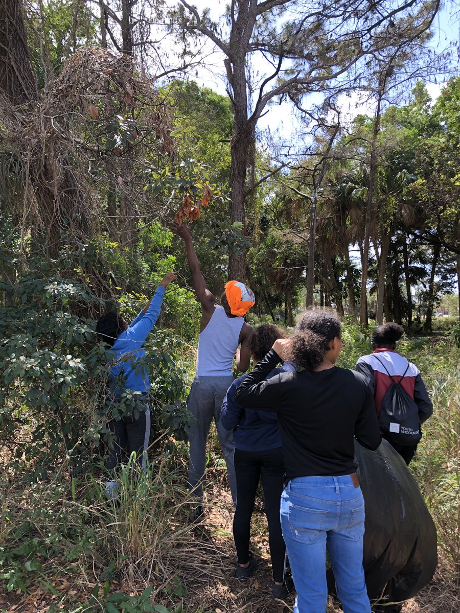 monfortekm's tweet photo. Proud of our Creek students for volunteering their Saturday morning to help remove invasive plants from our community.  #BECREEK #Inclusion #CommunityService #CougarPride @CreekMagnet @creekLIA @Creek_BB @MissB_at_Creek @MsSegesta @Principal_Fiske @DrNicoleNearor @angela_coby https://t.co/CZaA8cLfhA