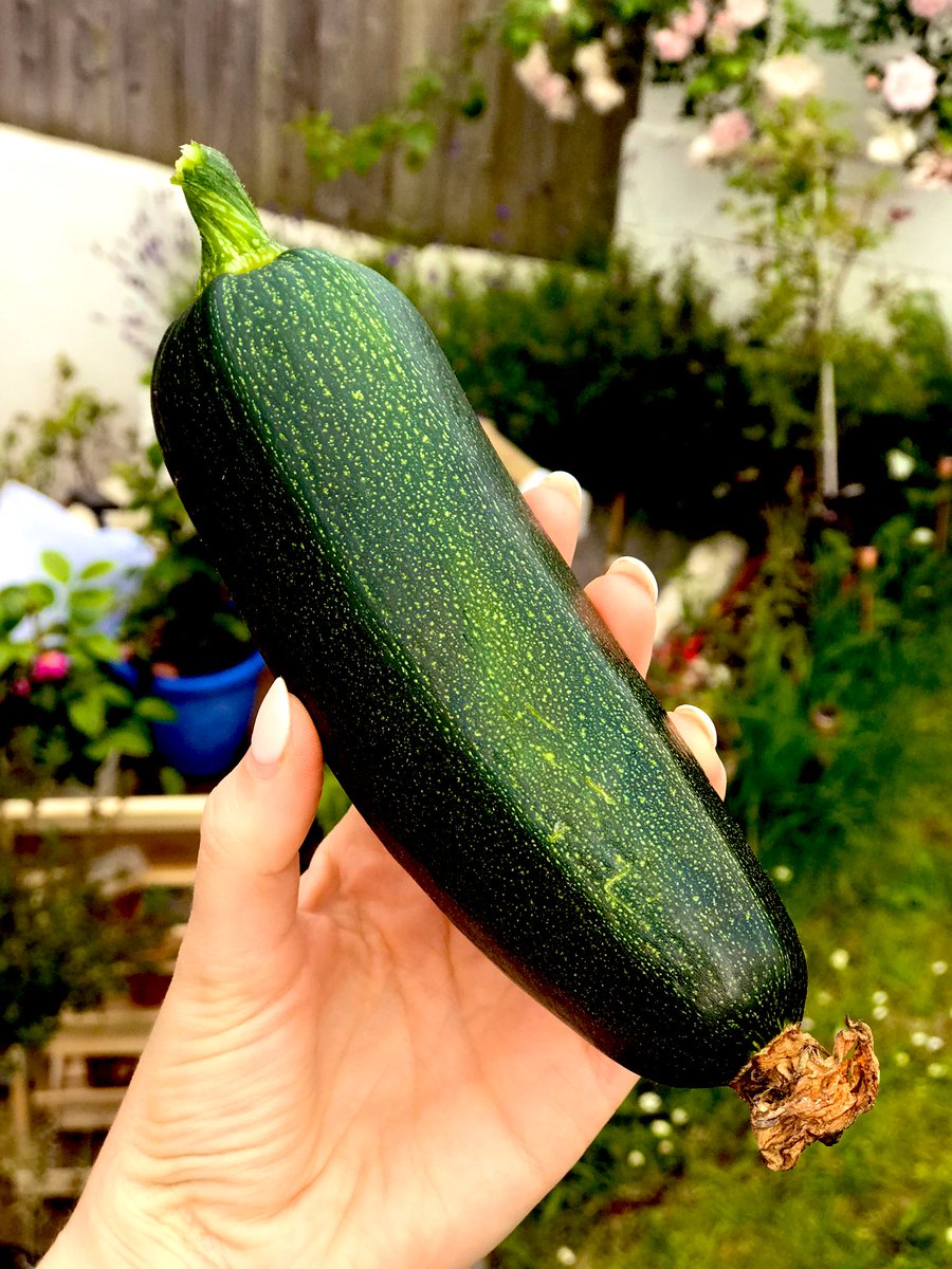 MrsJParkes's tweet photo. Home grown produce from the Hadley-Parkes garden! We grew courgettes, peppers, beetroot, blueberries, strawberries, pineapple, carrots, figs, apples, broccoli, mint, basil, rosemary, bay, chives, sugar snap peas, cherries (v sour!) oranges and... That’s it! #cfgs @CfgsClub @CFGS https://t.co/6y6VFzpqId