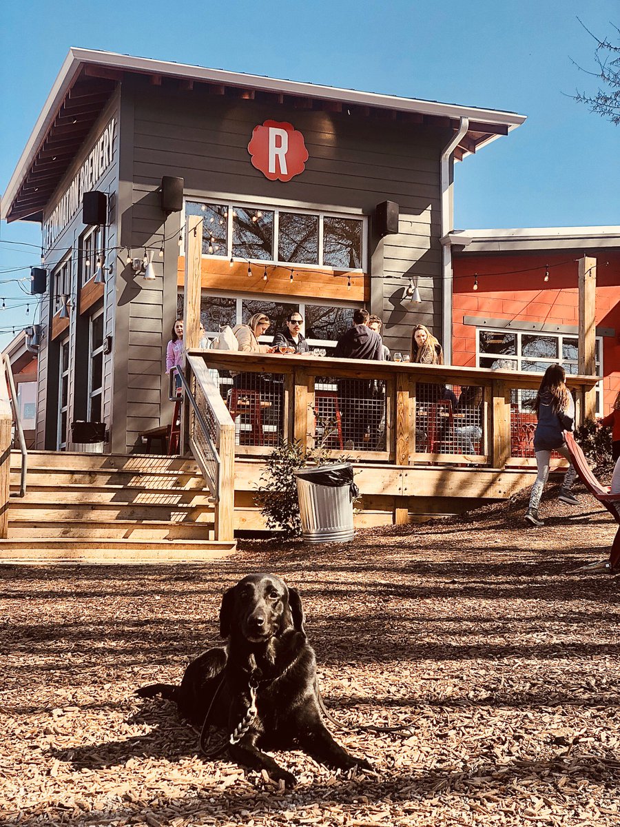 CassWalk518's tweet image. #BlackSheepLucy catching some sun at @ReformationBrew - #setbeerfree #canipetthatdog