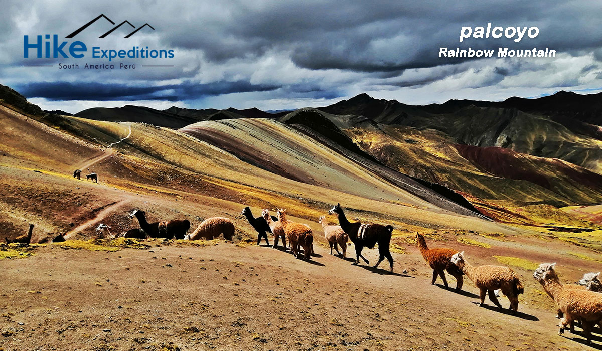 hiking to Palcoyo Rainbow Mountain - full day tour. #trekking #hiking #hike #trek #Travel #Tours #Tourney20 #trip #trippy