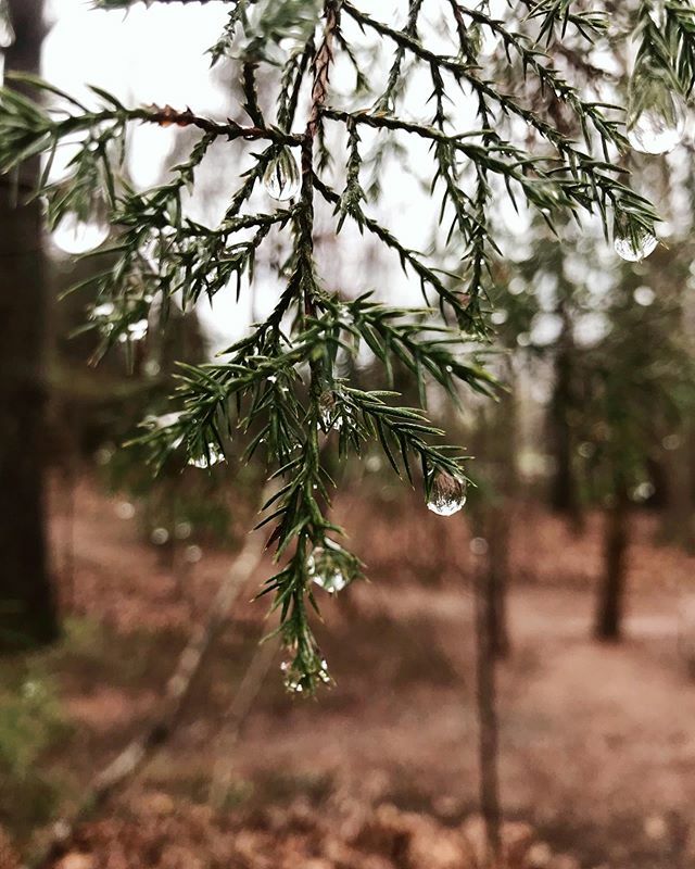 Nature pause. ift.tt/2vMv6oL