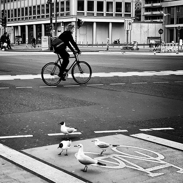 FleetingPix's tweet photo. On the street
.
.
.
#streetphotography #streetphotographers #streetphotography_bw #streetphotographybnw #streetphotography_bnw #streetphotographymagazine #streetphotographyinternational #streets_storytelling #street #streetfinder #timelessstreets #insta_… https://t.co/IhIzkHVqLr https://t.co/kHbTQBB4rv