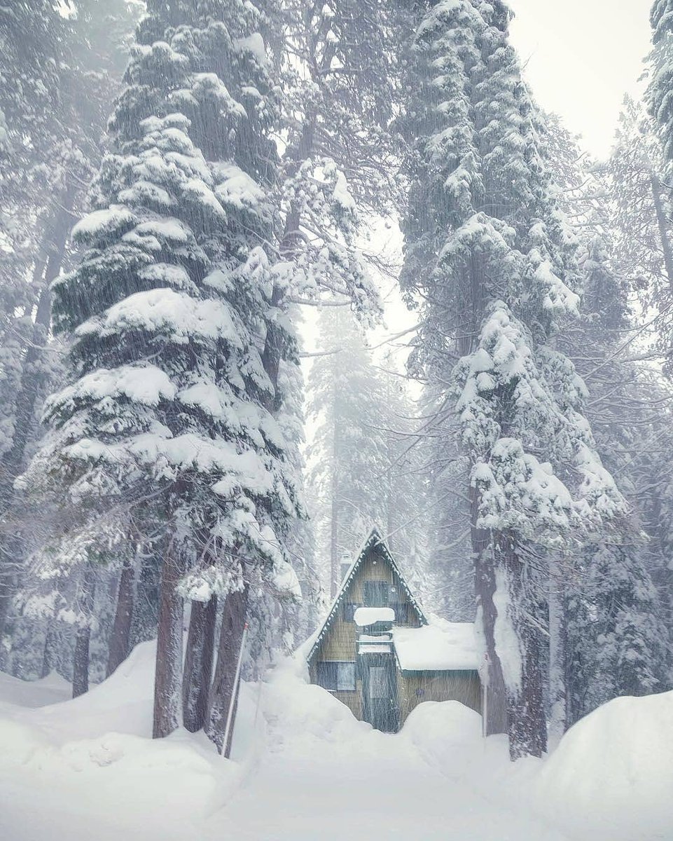 CapmingI's tweet image. Snowy days!
TAG that person you want to spend time with in this house 🏡. 🌲🌲
Foloow us to be featured in our page.

Dm for credit. #BeBest Mike White #DiaperDon #HellNoJoe
#camping #campinglavall #campinglagodilevico