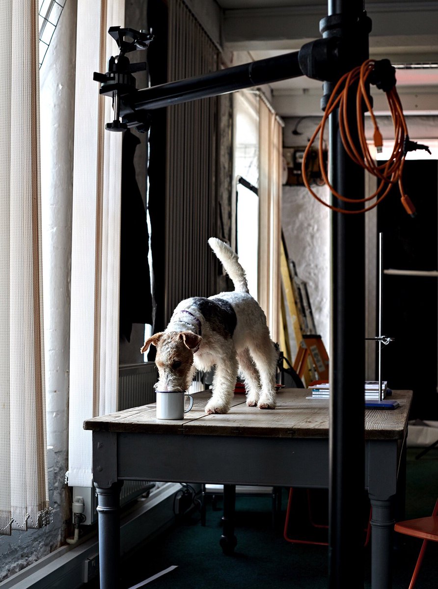 Neil White tweet media