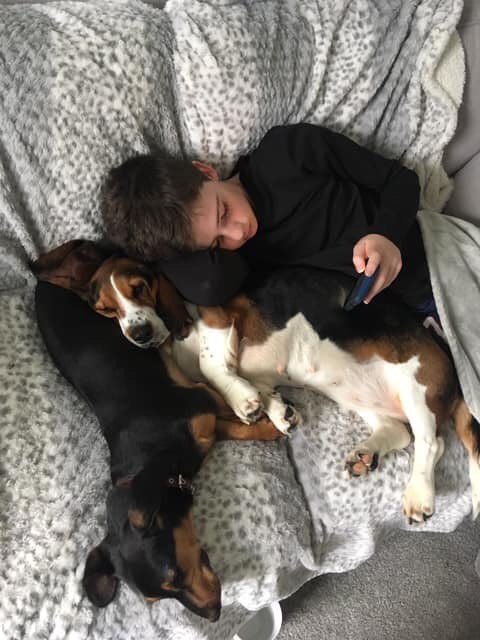 Puppy Farm survivors - Shankly, Daschund, and Tami, Basset Hound. Truly exhausted after a long day waiting for their human brother Jamie, age 11, to come home from school #DogsAndChildren #Crufts #PuppyFarmSurvivors #HappyAtLast