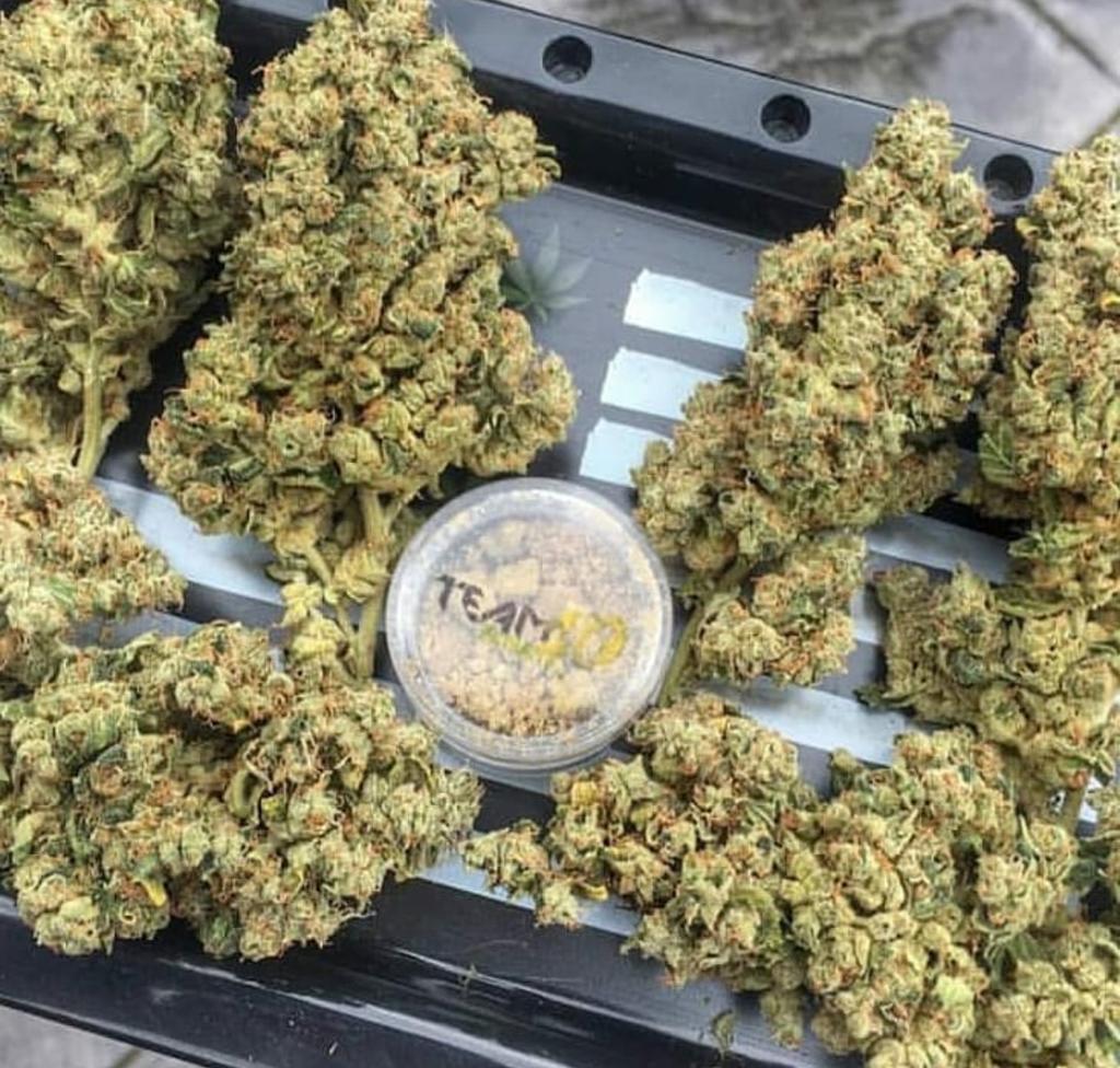 WilliamJaffy's tweet photo. Serious inquiries only 
Snap : w_jaffy11
Cali's finest 
2135593440 https://t.co/HGK5Ynu7L6