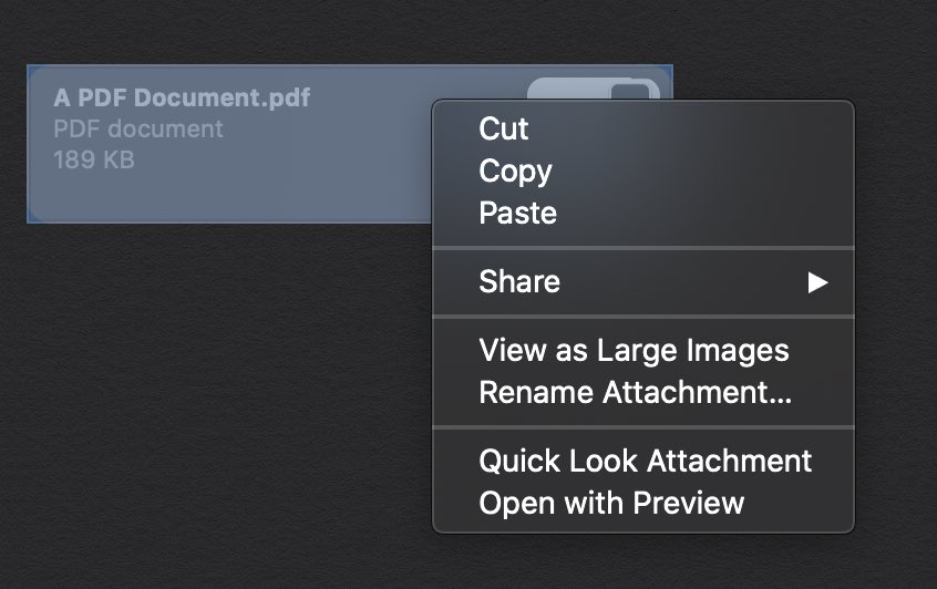 chadpardoe's tweet photo. @dayoneapp just discovered the PDF attachment – works great!

Could a more compact view be considered as in the Apple Notes app? https://t.co/fi802Zlobv