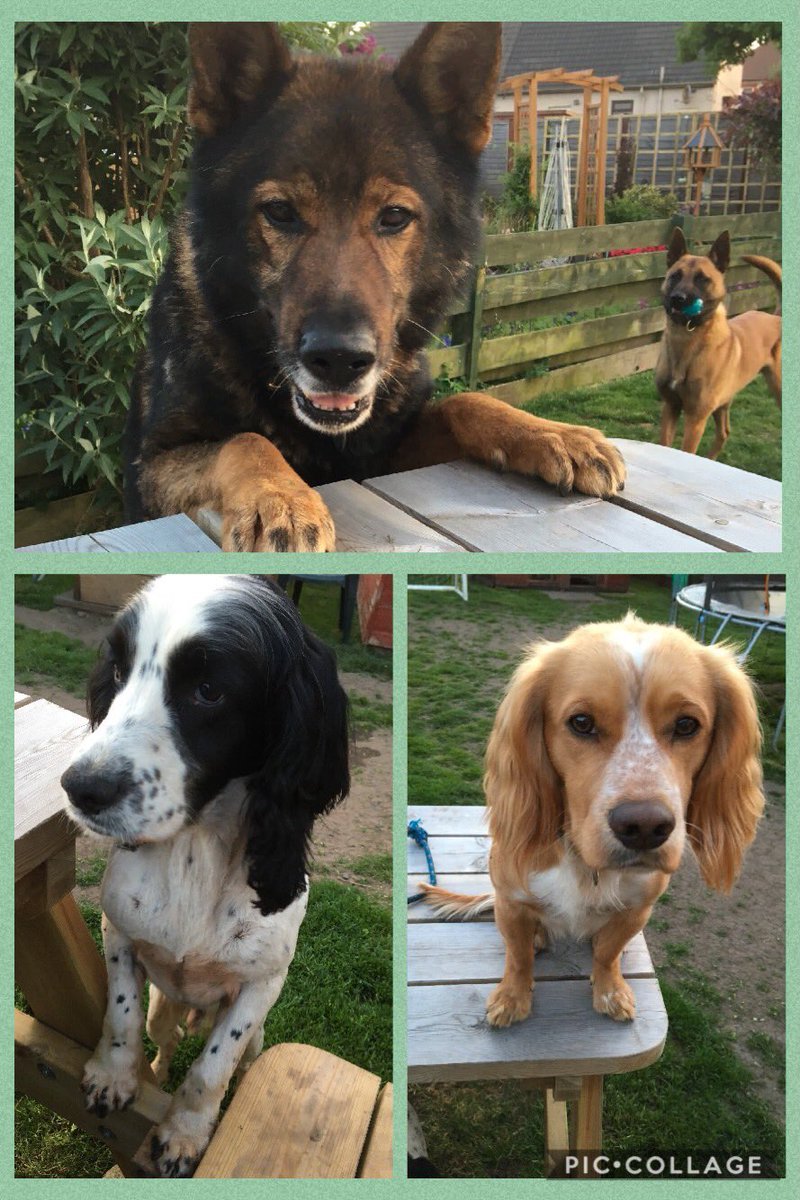 RPD Axel tweet media