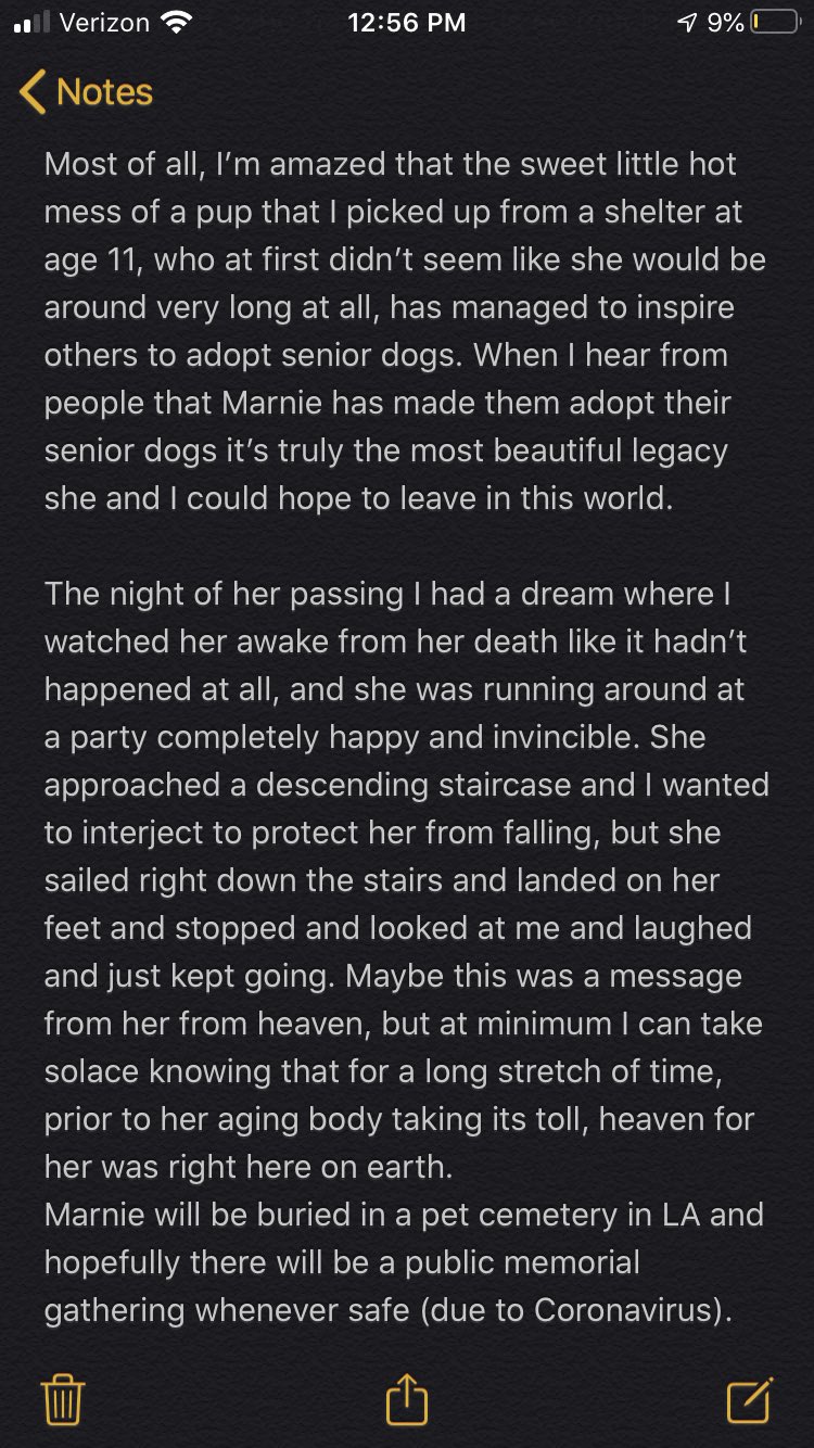 Marnie the cheap dog twitter