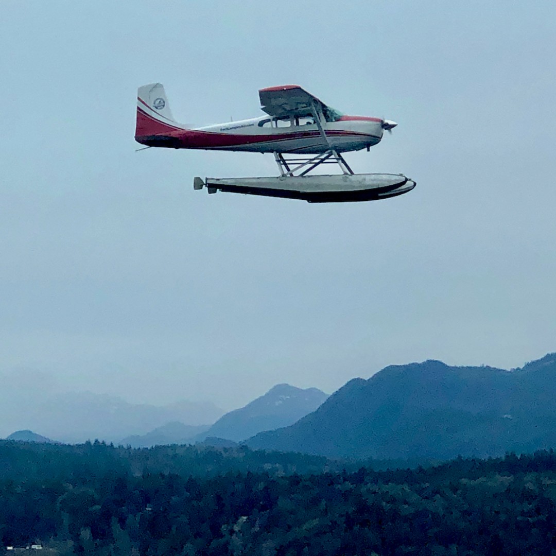 ftlangleyair's tweet photo. One of our C-180's, UIG flying over Fraser Islands Regional Park. 
#floatplane #seaplane #Cessna180 #avgeek #FlytheFort #FlyFloats2020 https://t.co/J49ZXA7Ce7