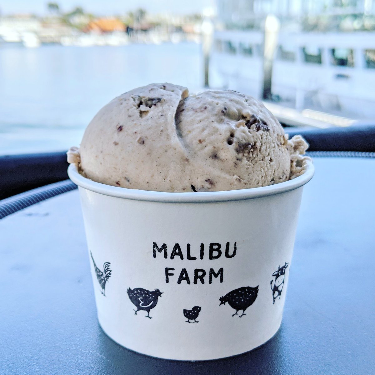 A scoop by the sea - vegan butter pecan ice cream at Malibu Farm at Lido Marina Village 🍦⛵ #SaturdayVibes