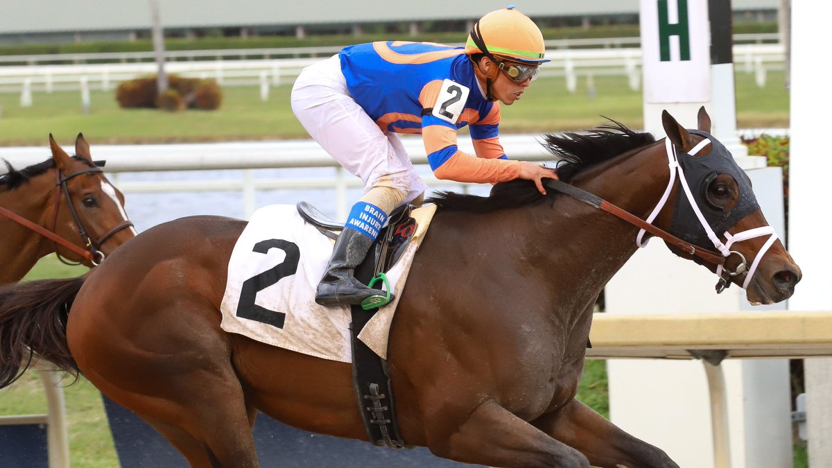 Giocare outruns Bear Alley to score in race 8, <a href="/iradortiz/">Iradortiz</a> in the saddle for trainer <a href="/PletcherRacing/">Todd Pletcher Racing Stables</a>. #GulfstreamPark #ChampionshipMeet