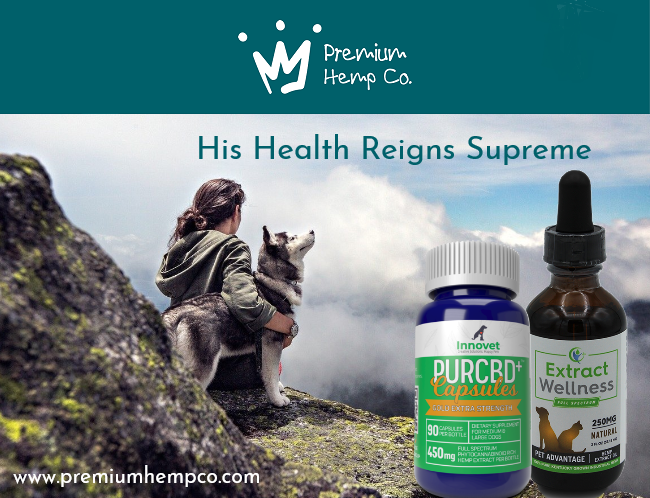 premium_co's tweet photo. #CBD  #cbdhealth #cbdpets https://t.co/IUqWmsxFlr