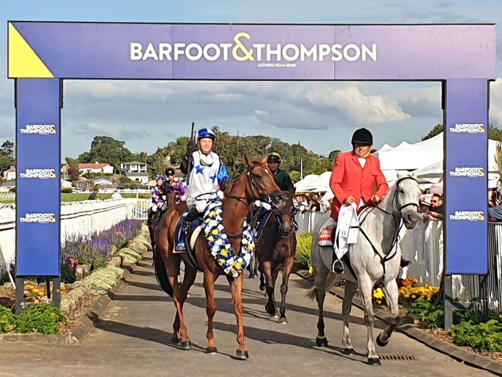 MarkANowell's tweet photo. After capturing her first G1 in this race last year, rider Sam Collett goes back-to-back @BarfootThompson Auckland Cups. This year aboard veteran Roger That in the G1 feature two mile @Ellerslie_Races https://t.co/iEaoHJi5Qb