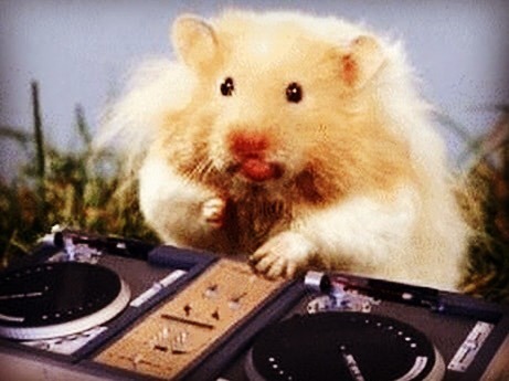 Not an easy job ;) ift.tt/32ZdBxx