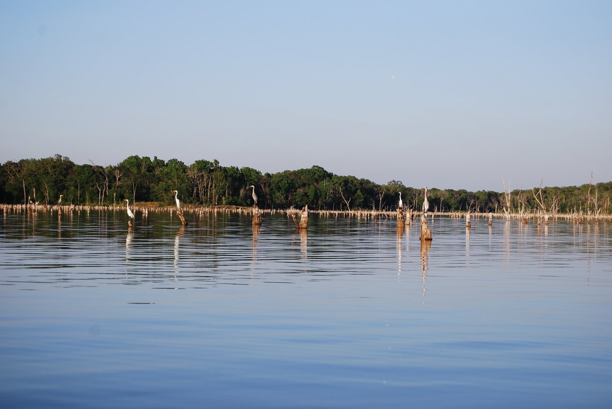 lfguidelanes's tweet photo. Navigate the stumps to win it all. #MLF #lakefork

Digital download to your Lowrance, Humminbird or Garmin!
https://t.co/79wmg5R4vo https://t.co/WVX53p49s5