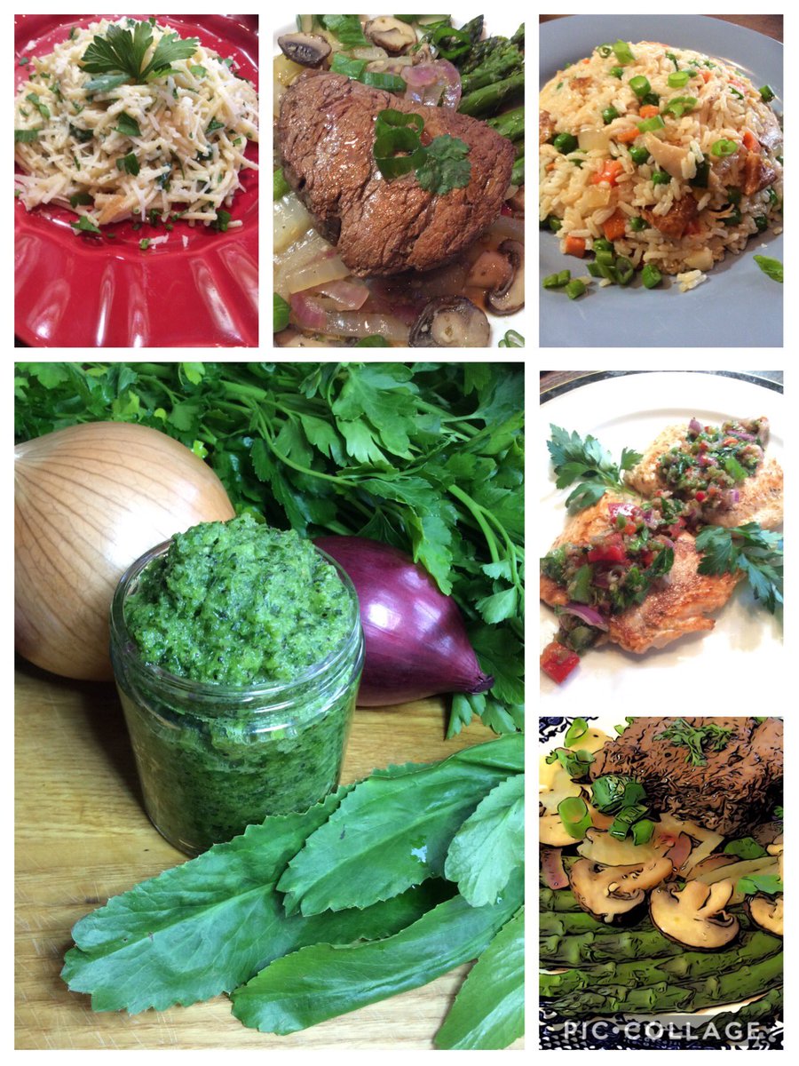 SpiceChats's tweet photo. #Sofrito #latinflavor #sofritolatino #Food #goodfood #recaito #Cilantro #garden #foodphotography https://t.co/70MCjArRHi