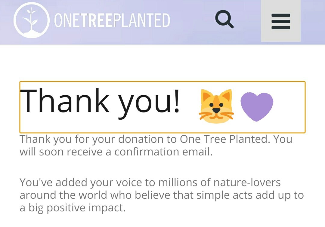 asifan613's tweet photo. Sad that it's the last #WePurpleEarth birthday project, but I'm so happy over how many trees ARMYs have helped plant during the members' birthdays this past year! So honoured to be able to participate! 

Go to @OneInAnARMY's page to donate to #TreesForYoongi! 🌲💜🐱 @BTS_twt https://t.co/ucOSzOUKtO