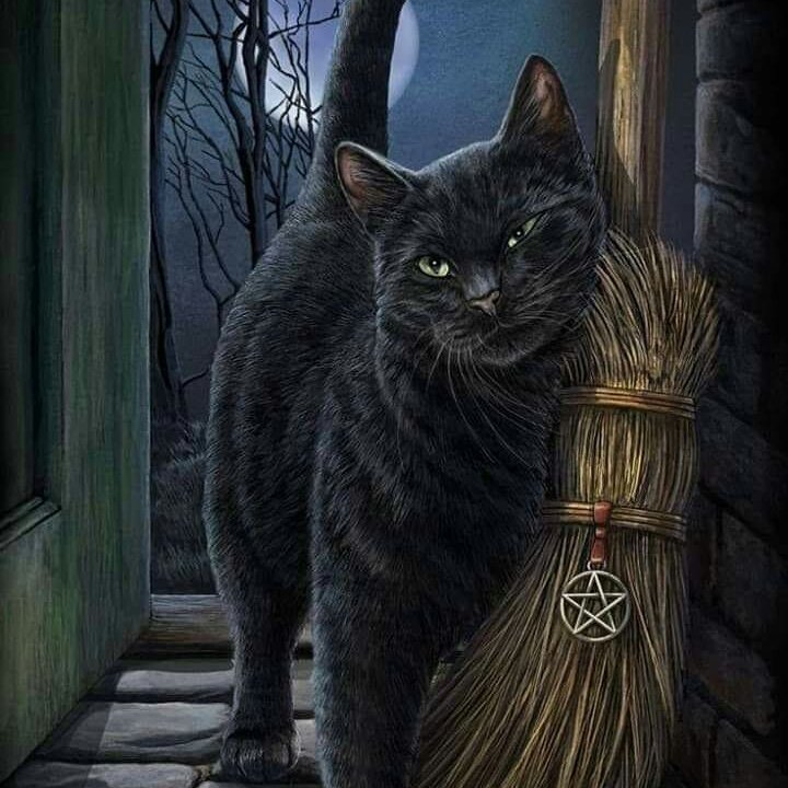 PattyBlackCat's tweet photo. #NuevaFotoDePerfil https://t.co/618XsTvRlq