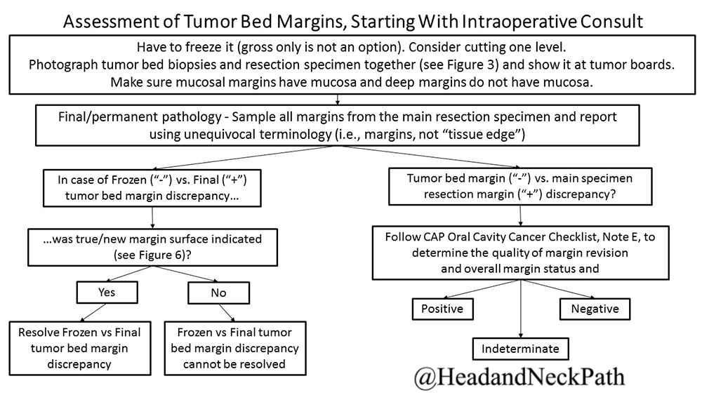 First presentation from NASHNP Society Meeting at 109th USCAP (March 2020):
Intraoperative Margin Assessment in Head and Neck Cancer: A Case of Misuse and Abuse?
rdcu.be/b2wwV
#HeadNeckPathol #HNPJ #HeadandNeckPath #Pathology #ENTPath #PathologyTweet