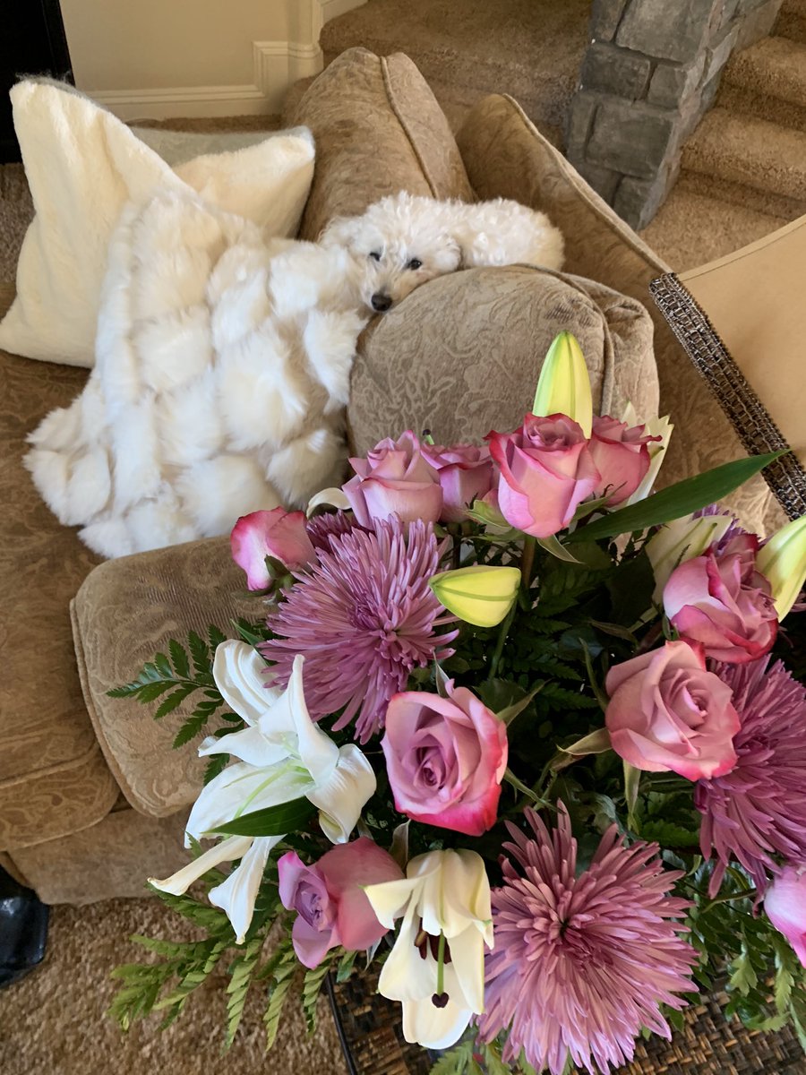 Grown Woman Lives Her Life As A BABY! youtu.be/ERpvog6uno8 via 😂😂<a href="/jamarispeaks/">JAMARI</a> we need you critiquing everything on X-ARt.com/join and superhot.com franzi and I started at Colette.com but you never fail to crack me up! #allingoodfun ❤️Coco