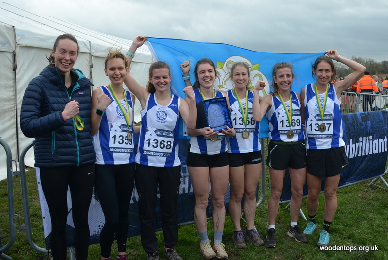 Woodentops tweet media