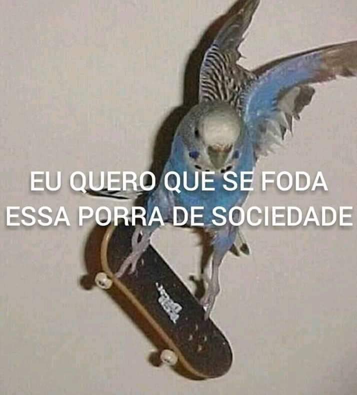 ᴍᴇᴄ sᴛᴇᴇʟ  (@brieelga) on Twitter photo 