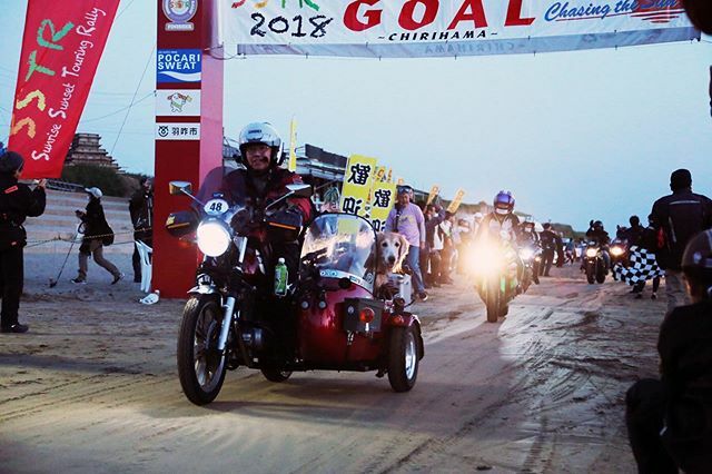 takahashipropan's tweet photo. SSTR2020エントリー完了しました。今年はまた赤のボルティに戻してのんびり?行きます。
千里浜でお会いしましょう!よろしくお願いします😄
#goldenretriever #sidecar #sidecardog #volty #sstr2020 #サイドカー犬モモちゃん https://t.co/JdoZwIA9Si https://t.co/hy6GhWbrO9