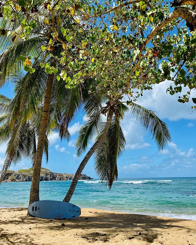 grainedesportiv's tweet photo. Premier jour de surf 🏄🏼‍♀️ « Le but aujourd’hui, c’est de prendre des vagues et de kiffer » 👍🏻 Beaucoup ramé, bien glissé, un peu coulé, un peu cramé et pas mal rigolé ☀️ 🌴 
#surf #martinique #ucpa #tartane https://t.co/fvNtJgp1j4 https://t.co/3OP32pYuSk