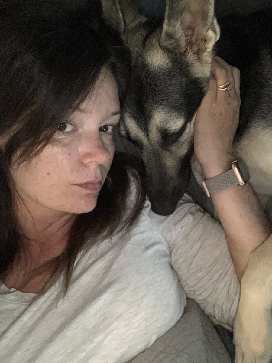 frecklesnbrass's tweet photo. Midday nap #gsd #lazydays #prettypuppy https://t.co/7S9VEF80V2