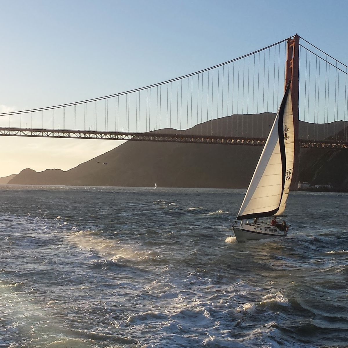 hoteldivasf's tweet photo. Tomorrow is #SundayFunday how about a #BayCruise in the #Citybythebay to mixup the normal routine? Book your room in #SanFrancisco with our #specialoffer for #twitter Fans! Our concierge will assist with the tour! We hope to welcome you soon #hoteldivasf https://t.co/qqYzlEsuKH https://t.co/iU6HThmGjI